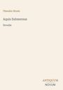 Theodor Storm: Aquis Submersus, Buch