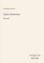 Theodor Storm: Aquis Submersus, Buch