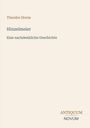 Theodor Storm: Hinzelmeier, Buch