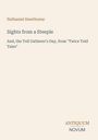 Titel: "Sights from a Steeple". Autor: Nathaniel Hawthorne. Verlag: Antiquum Novum. Beigefarbener Hintergrund.