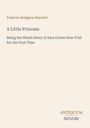 Titel: "A Little Princess". Untertitel: "Being the Whole Story of Sara Crewe Now Told for the First Time". Oben der Autorenname. Unten das Logo "ANTIQUM NOVUM". Hintergrund in Beige.
