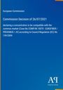 Text: "European Commission, Commission Decision of 26/07/2021, declaring a concentration compatible with the common market..."  
Blaue, formelle Gestaltung.