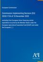 Text: Commission Implementing Decision (EU) 2020/1734 vom 18. November 2020. Blauer Hintergrund. Logo unten rechts.