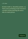 J. W. Stow: Probate chaff: or, Beautiful probate ; or, Three years probating in San Francisco: a modern drama showing the merry side of a dark picture, Buch