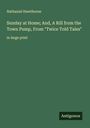 Nathaniel Hawthorne: Sunday at Home; And, A Rill from the Town Pump, From "Twice Told Tales", Buch