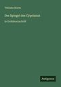 Theodor Storm: Der Spiegel des Cyprianus, Buch