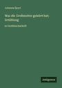 Johanna Spyri: Was die Großmutter gelehrt hat; Erzählung, Buch