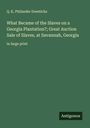 Q. K. Philander Doesticks: What Became of the Slaves on a Georgia Plantation?; Great Auction Sale of Slaves, at Savannah, Georgia, Buch