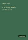 Theodor Storm: In St. Jürgen; Novelle, Buch