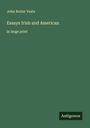 John Butler Yeats: Essays Irish and American, Buch
