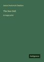 Anton Pavlovich Chekhov: The Sea-Gull, Buch
