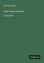 John Burroughs: John James Audubon, Buch