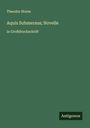 Theodor Storm: Aquis Submersus; Novelle, Buch
