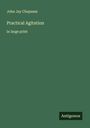 John Jay Chapman: Practical Agitation, Buch