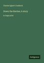 Charles Egbert Craddock: Down the Ravine; A story, Buch