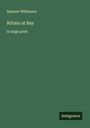 Spenser Wilkinson: Britain at Bay, Buch