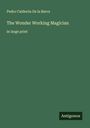 Pedro Calderón De La Barca: The Wonder Working Magician, Buch