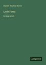 Harriet Beecher Stowe: Little Foxes, Buch