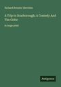 Richard Brinsley Sheridan: A Trip to Scarborough; A Comedy And The Critic, Buch