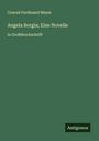Conrad Ferdinand Meyer: Angela Borgia; Eine Novelle, Buch