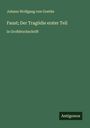 Johann Wolfgang von Goethe: Faust; Der Tragödie erster Teil, Buch