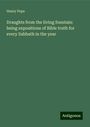 Henry Pope: Draughts from the living fountain: being expositions of Bible truth for every Sabbath in the year, Buch