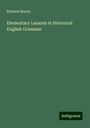 Richard Morris: Elementary Lessons in Historical English Grammar, Buch