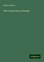 Balfour Stewart: The Conservation of Energy, Buch