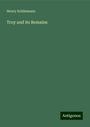 Henry Schliemann: Troy and its Remains, Buch