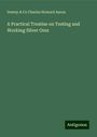 Dewey Charles Howard Aaron & Co: A Practical Treatise on Testing and Working Silver Ores, Buch