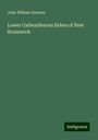 John William Dawson: Lower Carboniferous fishes of New Brunswick, Buch