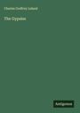 Charles Godfrey Leland: The Gypsies, Buch