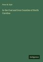 Peter M. Hale: In the Coal and Iron Counties of North Carolina, Buch