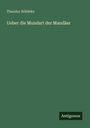 Theodor Nöldeke: Ueber die Mundart der Mandäer, Buch