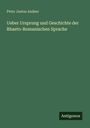 Peter Justus Andeer: Ueber Ursprung und Geschichte der Rhaeto-Romanischen Sprache, Buch