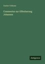 Gustav Volkmar: Commentar zur Offenbarung Johannes, Buch