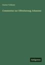 Gustav Volkmar: Commentar zur Offenbarung Johannes, Buch