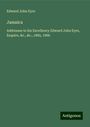 Edward John Eyre: Jamaica, Buch