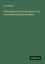 Adolf Bastian: Völkerstämme am Brahmaputra und verwandtschaftliche Nachbarn, Buch
