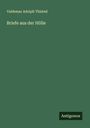 Valdemar Adolph Thisted: Briefe aus der Hölle, Buch