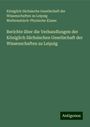 Königlich Sächsische Gesellschaft der Wissenschaften zu Leipzig Mathematisch-Physische Klasse: Berichte über die Verhandlungen der Königlich Sächsischen Gesellschaft der Wissenschaften zu Leipzig, Buch