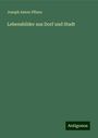 Joseph Anton Pflanz: Lebensbilder aus Dorf und Stadt, Buch