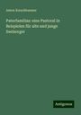 Anton Kerschbaumer: Paterfamilias: eine Pastoral in Beispielen für alte und junge Seelsorger, Buch