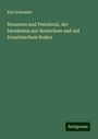 Karl Schneider: Rousseau und Pestalozzi, der Idealismus auf deutschem und auf französischem Boden, Buch