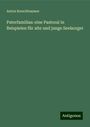 Anton Kerschbaumer: Paterfamilias: eine Pastoral in Beispielen für alte und junge Seelsorger, Buch