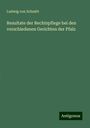 Ludwig Von Schmitt: Resultate der Rechtspflege bei den verschiedenen Gerichten der Pfalz, Buch