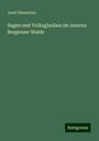 Josef Elsensohn: Sagen und Volksglauben im inneren Bregenzer Walde, Buch