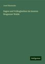 Josef Elsensohn: Sagen und Volksglauben im inneren Bregenzer Walde, Buch