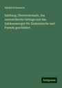 Adolph Schaubach: Salzburg, Obersteiermark, das oestreichische Gebirge und das Salzkammergut für Einheimische und Fremde geschildert, Buch