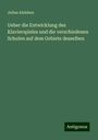 Julius Alsleben: Ueber die Entwicklung des Klavierspieles und die verschiedenen Schulen auf dem Gebiete desselben, Buch